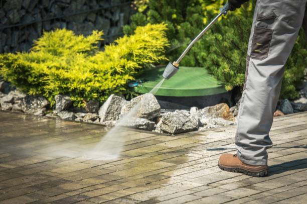Boat and Dock Cleaning in Tremont, IL