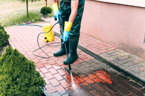 Best Pool Deck Cleaning  in Tremont, IL