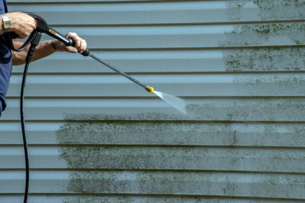 Professional Pressure Washing Services in Tremont, IL