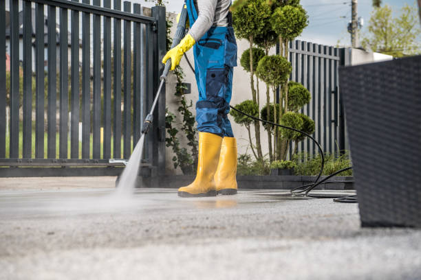 Best Animal Enclosure Cleaning  in Tremont, IL